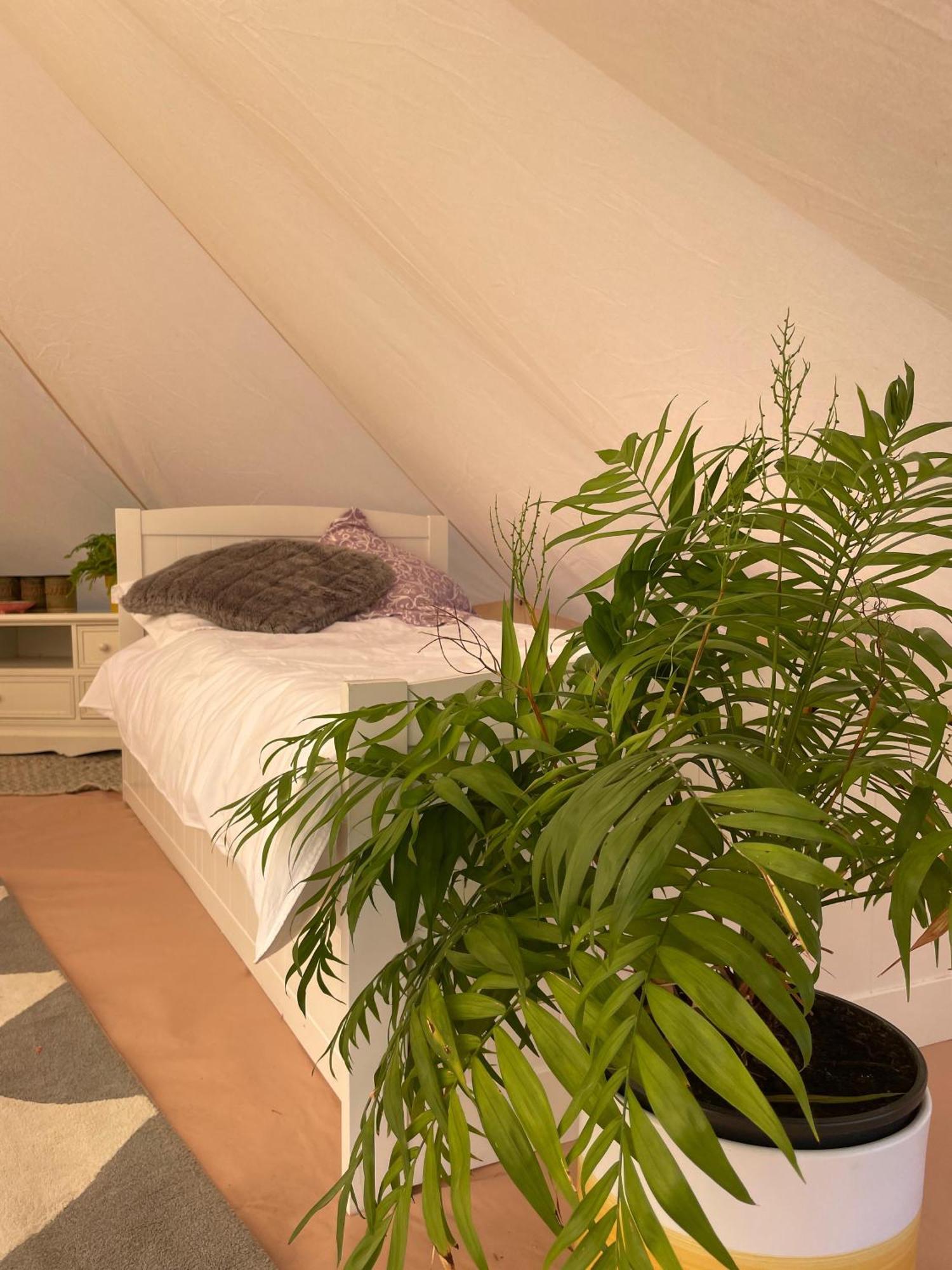 Trevena Cross Glamping & Camping Helston Bagian luar foto