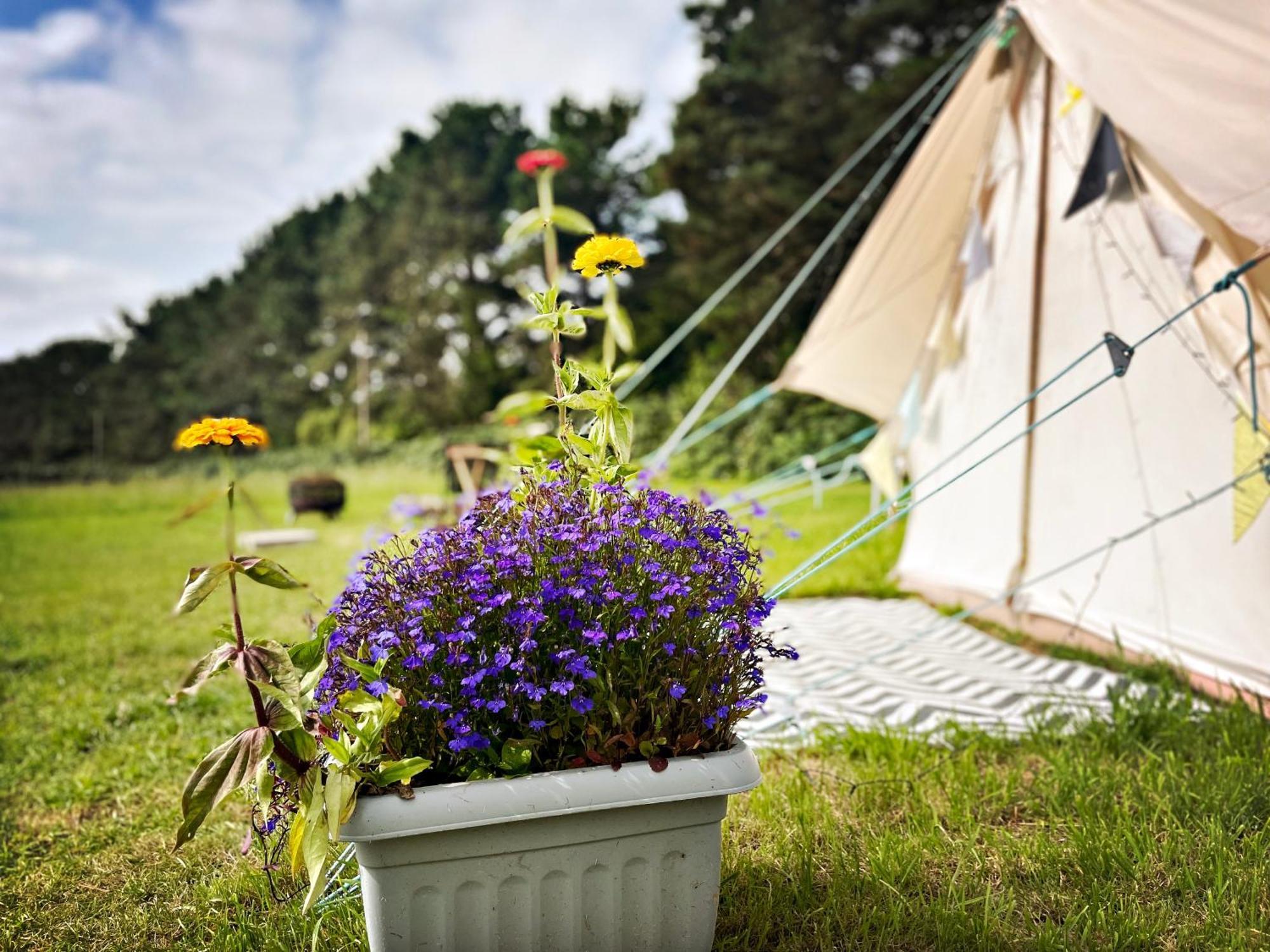 Trevena Cross Glamping & Camping Helston Bagian luar foto